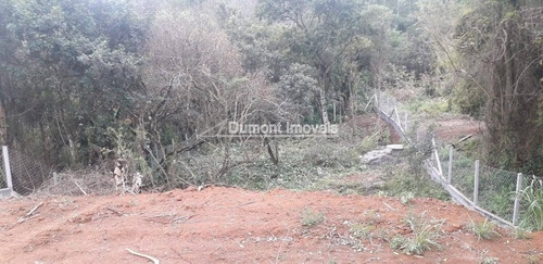 Imagem 6 de 8 de Lindo Lote Numa Região Arborizada! Bairro Paruru. Cod 392