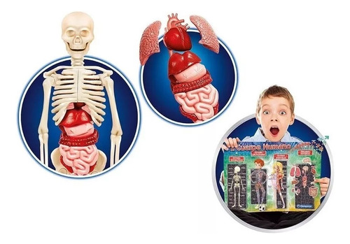 Juego De Mesa El Cuerpo Humano 3d Clementoni Shp Tunishop