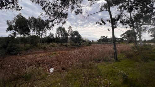 Terreno En Piriápolis (barra De Portezuelo) Ref. 6039