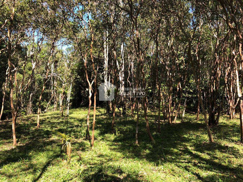 Imagem 8 de 23 de Área, São Lourenço, São Lourenço Da Serra - R$ 980 Mil, Cod: 4246 - V4246