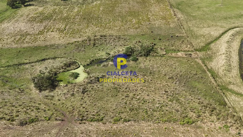 3 Hectáreas En Migues Con Aguada Y Linda Vista