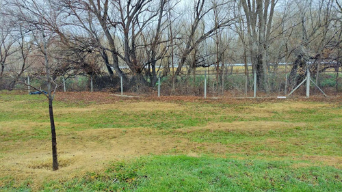Imagen 10 de 10 de Terreno En Venta En General Roca
