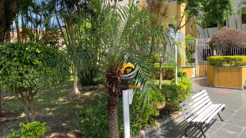 Lindo Apartamento Parque Sào Domingos - Ap0109