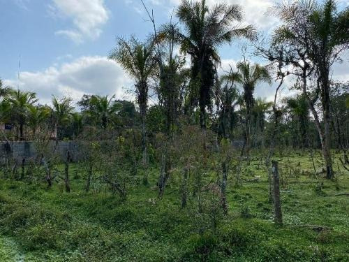 Imagem 6 de 8 de Terreno De Chácara De 7 Mil Metros Itanhaém Litoral Sul Sp