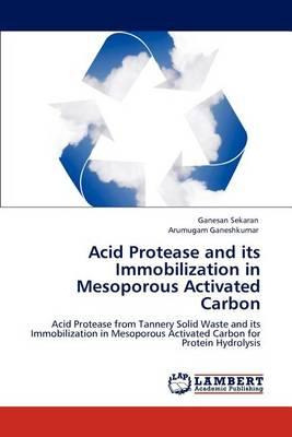 Libro Acid Protease And Its Immobilization In Mesoporous ...