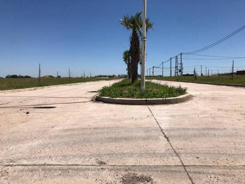 Imagen 9 de 12 de Venta De Terreno En Terranova Manzana P - Capitan Bermudez