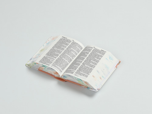 Biblia Rvr60 025c Cp Pjr Renovación Coral