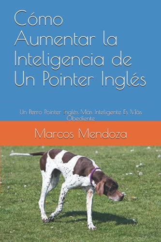 Como Aumentar La Inteligencia De Un Pointer Ingles