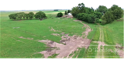 Imagen 4 de 17 de Campo En Venta 780 Has Mixto En Chascomus- 90 % Clase Iii.