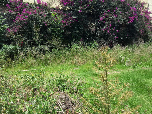 Terreno En Venta En San Jerónimo Lídice