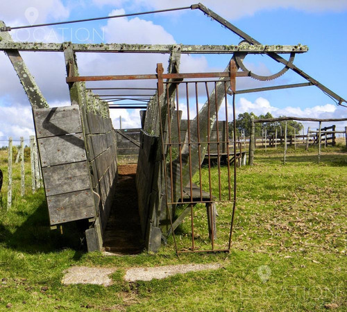 Campo - José Ignacio