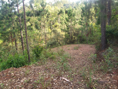 Lindo Area Pro Seu Chalé Nas Montanhas