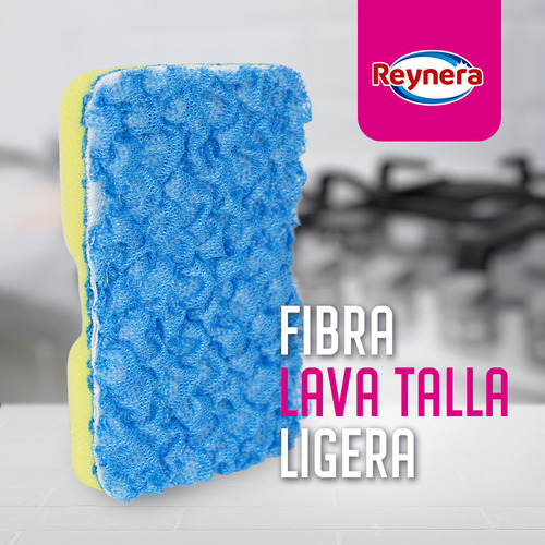 Combo Limpia Vidrios: Fibra Lavatalla y Cepillos Para Baño y Limpiaventanas - Reynera