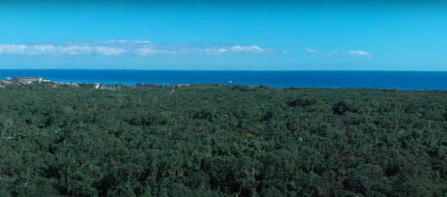 Lotes Con Financiamiento En Privada Con Playa En Playa Del Carmen (807)
