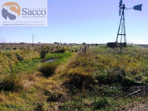 Chacra En Venta En Distrito De #trenquelauquen