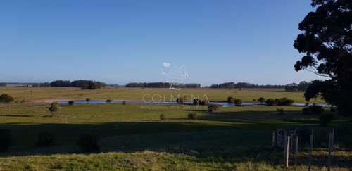 Imagen 12 de 13 de Campo De 20 Has Muy Cerca Del Faro Jose Ignacio - Consulte !!!!!! - Jose Ignacio