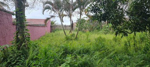 Imagem 3 de 4 de Terreno No Cibratel 2, Medindo 420 M², Em Itanhaém Ter158