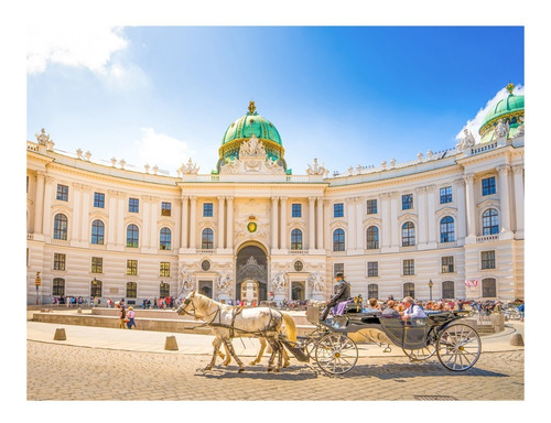 Rompecabezas Premiumedition 1500 Pzs Palacio Imperia Hofburg