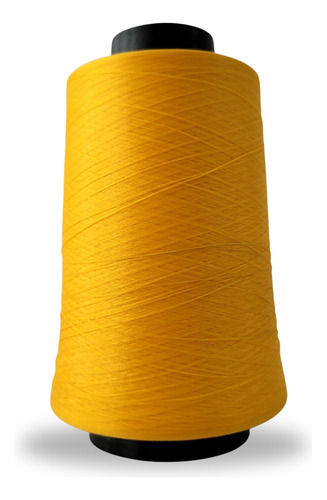 Linha Para Overlock 100g 100% Poliester (tex18) Linhanyl Cor 5230