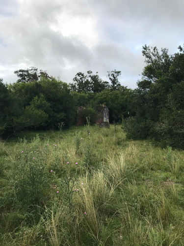 Muy Buen Campo Costas De Río Santa Lucia A 38 Km De Minas