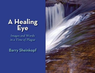 Libro A Healing Eye : Images And Words In A Time Of Plagu...