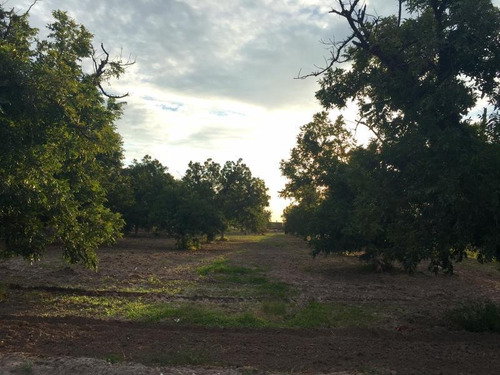 Imagen 7 de 10 de Terreno En Venta En Fraccionamiento La Barranca