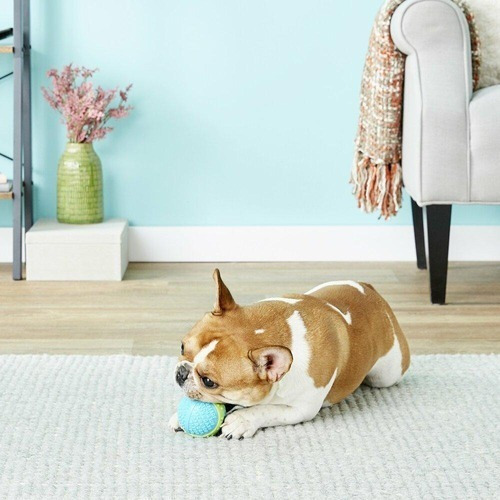 Juguete Kong Core Strength Ball Para Tu Mascota Talla M
