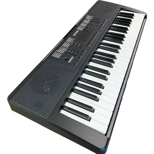 Organo Teclado Piano De 54 Teclas 5 Octavas Principiante