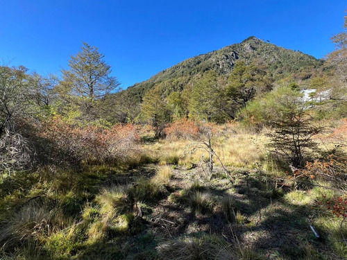 Parcela En La Precordillera Malalcahuello