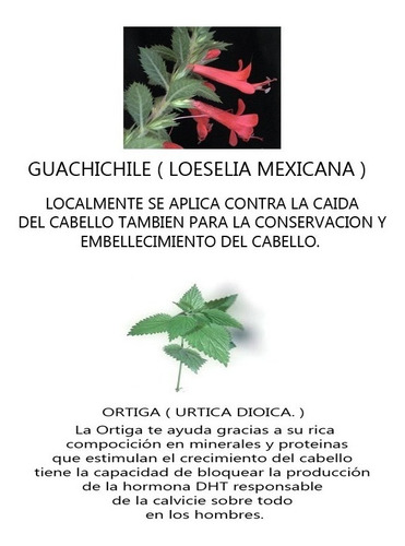 Shampoo 100% Natural Anti-caida Dama Caballero Fortificante