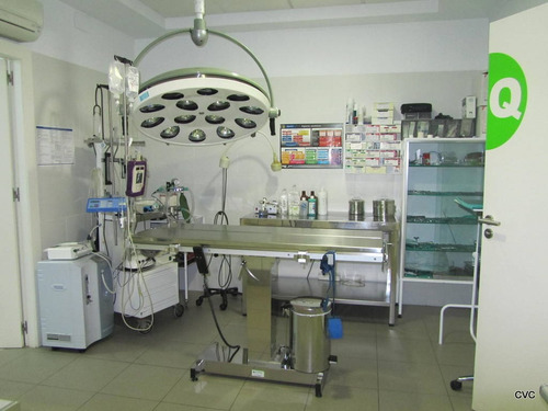 Proyeccion Financiera Para Veterinaria