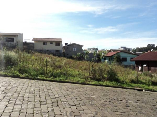 Imagem 2 de 4 de Terreno - Cidade Nova Ii - Ref: 4389 - V-4389