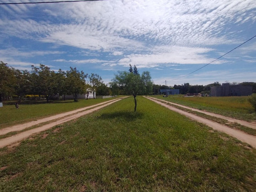Imagen 2 de 6 de Lote Residencial En Costa Nogales