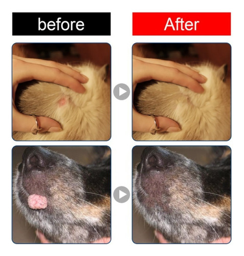 Tratamiento Natural Eliminador De Verrugas Para Perros, 5 Un