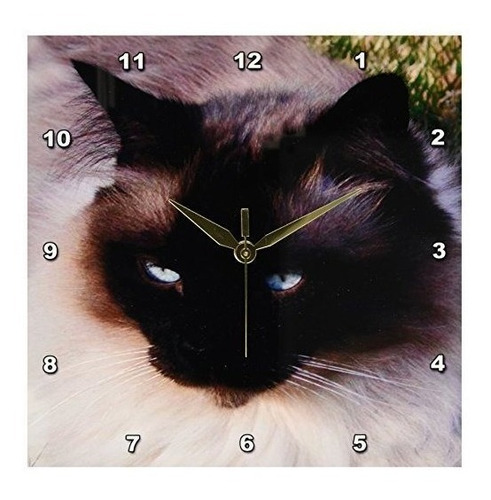 3drose Llc Dpp_1220_1 Siamese Cat 10 Por 10 Pulgadas Reloj D
