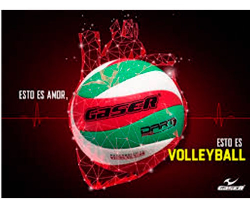 Imagen 4 de 6 de Balón Vóleibol Gaser Dart Pro Premium No.5 Piel Sintético