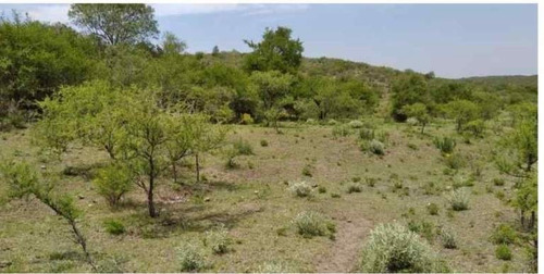 Imagen 15 de 29 de Venta Campo Falda Del Cañete-8,5 Has- Con Vista