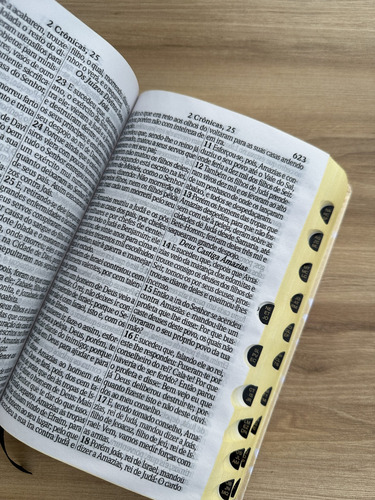 Bíblia A Menina Dos Olhos De Deus Com Índice Digital | Letras Grandes Evangélica Com Harpa - Arc