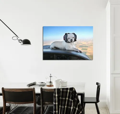 comprar Cuadro 50x75cm Chiguagua Aviador Perro Piloto Dog Pet Funny
