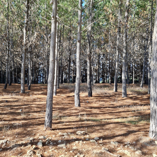 Terreno En Exclusivo Condominio En Matanzas