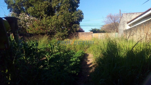 Imagem 2 de 2 de Terreno À Venda Em Vila Mimosa - Te252783