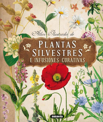 Libro Ilustrado De Plantas Silvestres E Infusiones Curativas
