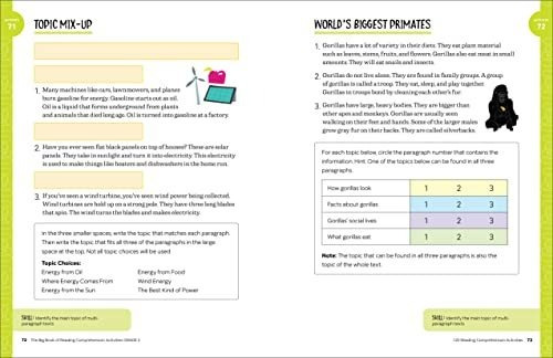 Book : The Big Book Of Reading Comprehension Activities, _y