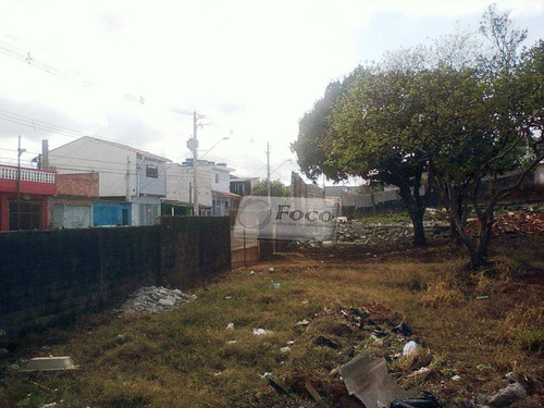Imagem 3 de 10 de Terreno Residencial À Venda, Vila Nova Bonsucesso, Guarulhos - Te0093. - Te0093