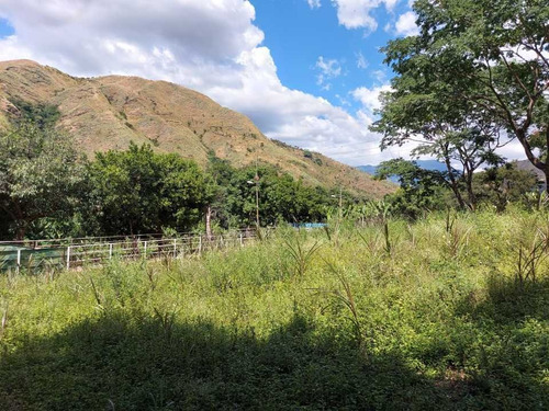 Imagen 18 de 29 de Finca Mixta + Manga De Coleo De 1 Ha En Guayabita En Turmero
