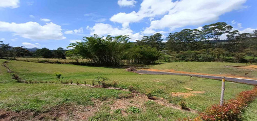 Lote En Venta Ubicado En Rionegro Sector Cabeceras (22403).