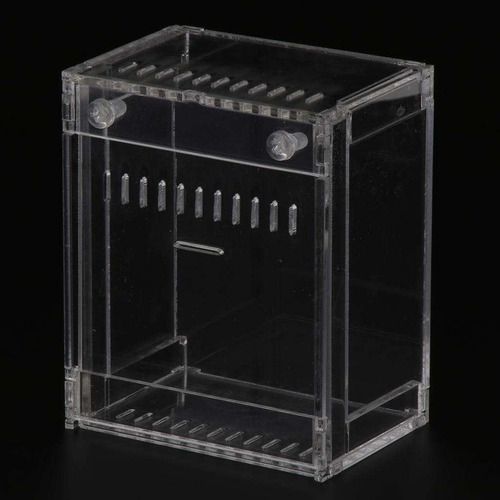 Acrilic Reptiles For Mascotas, Transparente Cajas De