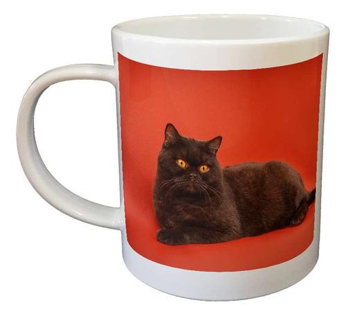 Taza De Plastico Gato Negro Ojos Amarillo Fondo Naranja