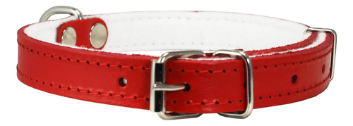 Dogs My Love Collar De Perro Acolchado De Fieltro De Cuero G