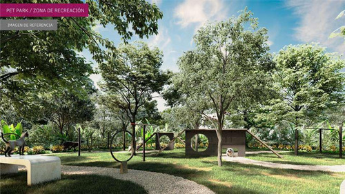 Imagen 10 de 10 de Terreno - Pueblo Sisal